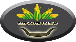 Deepwater Trading logo